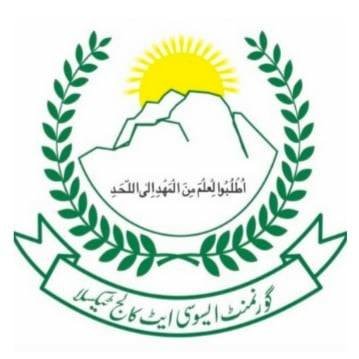 Digital Zone (GACT Boyz)